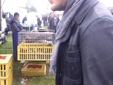 France Bleu Cotentin à la foire de Lessay