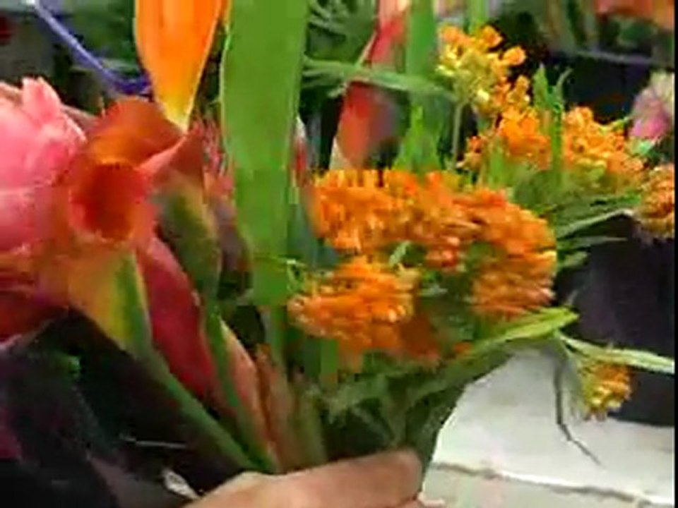 Le Nord et le Sud dans un bouquet de fleurs avec Aquarelle