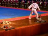 INCREDIBLE: Martial arts masters at the Taekwondo World Championships