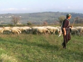 U PECURARU  2007 ( FRANCAVILLA  ANGITOLA)