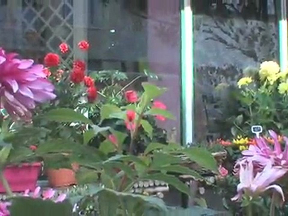 Fleuriste Bagnolet - Au Jardin de Cassandre