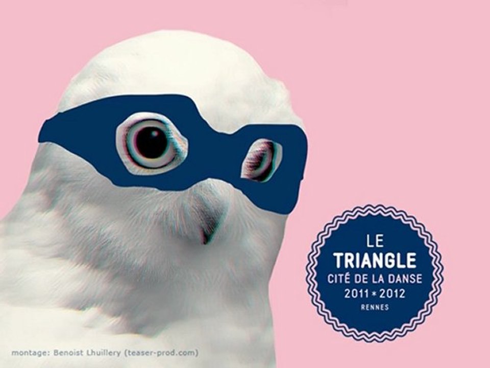 Le Triangle - saison 2010/2011 - Rennes