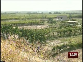 TG 18.08.09 Funzionari regionali in manette a Barletta