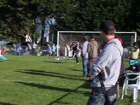 easydo morgane guilers 2011