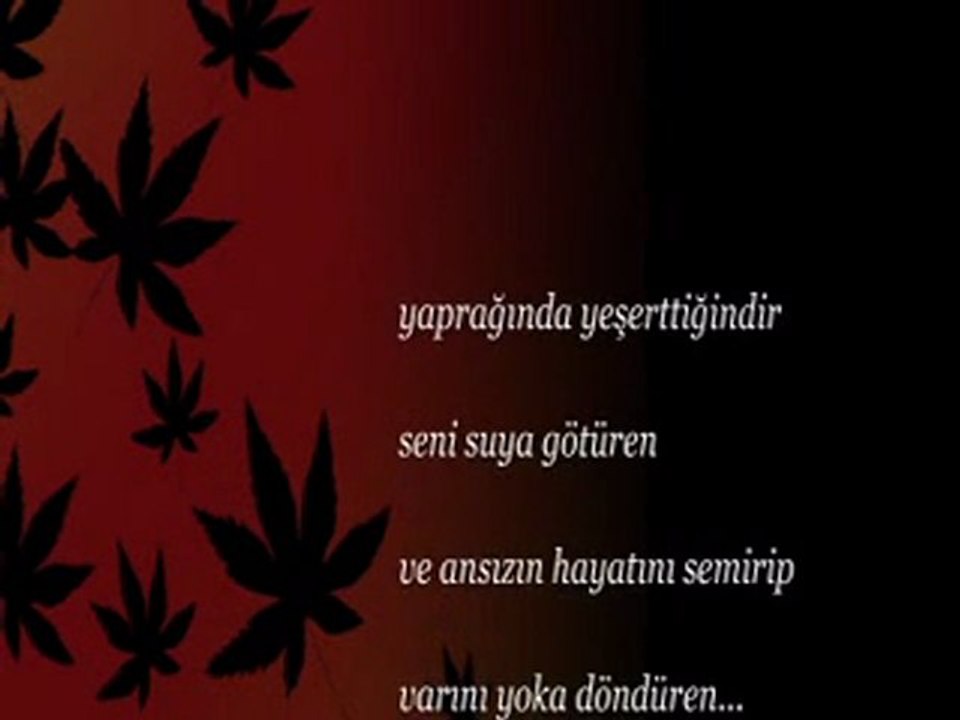 Meleklerin avuçlarında getirilir yüzün | Ya Leyl