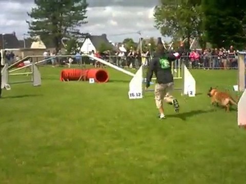 damien djuna guilers 2011