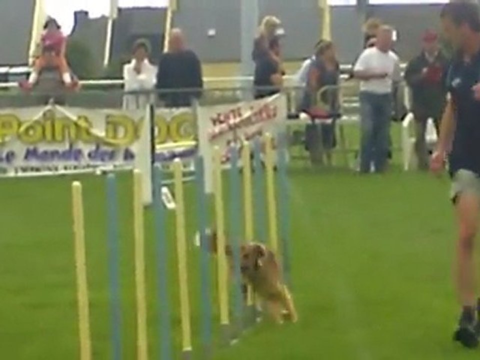 christian elia guilers 2011