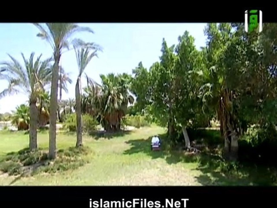 برنامج يوم فى الجنة الحلقة الثامنة عشر