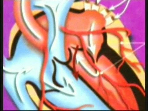 The Heart- HARUN YAHYA -ADNAN OKTAR