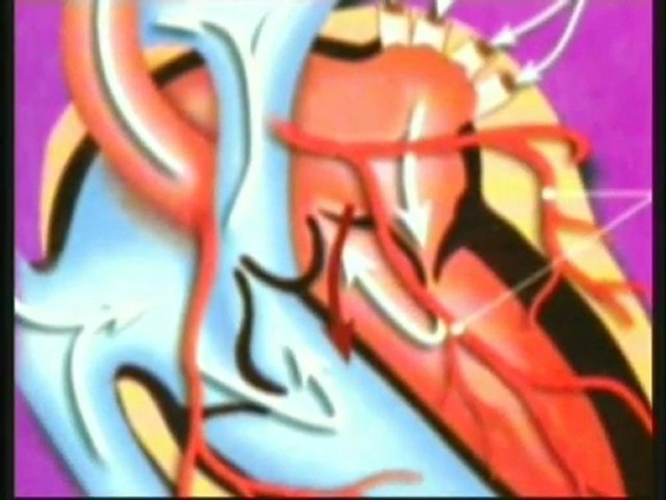 The Heart- HARUN YAHYA -ADNAN OKTAR