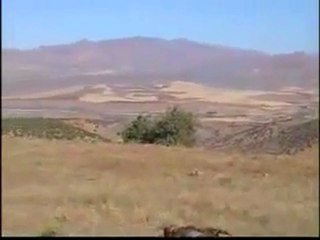 Gebertilmiş acem Dağ Cingeneleri (yapay adlandırma: kürtler)