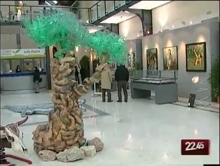 TG 27.01.10 Mediterre, l'ambiente al centro della sesta edizione