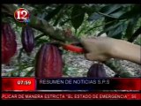 Noticia sobre el IV Simposio Nacional de Cacao en Noticias Canal 12