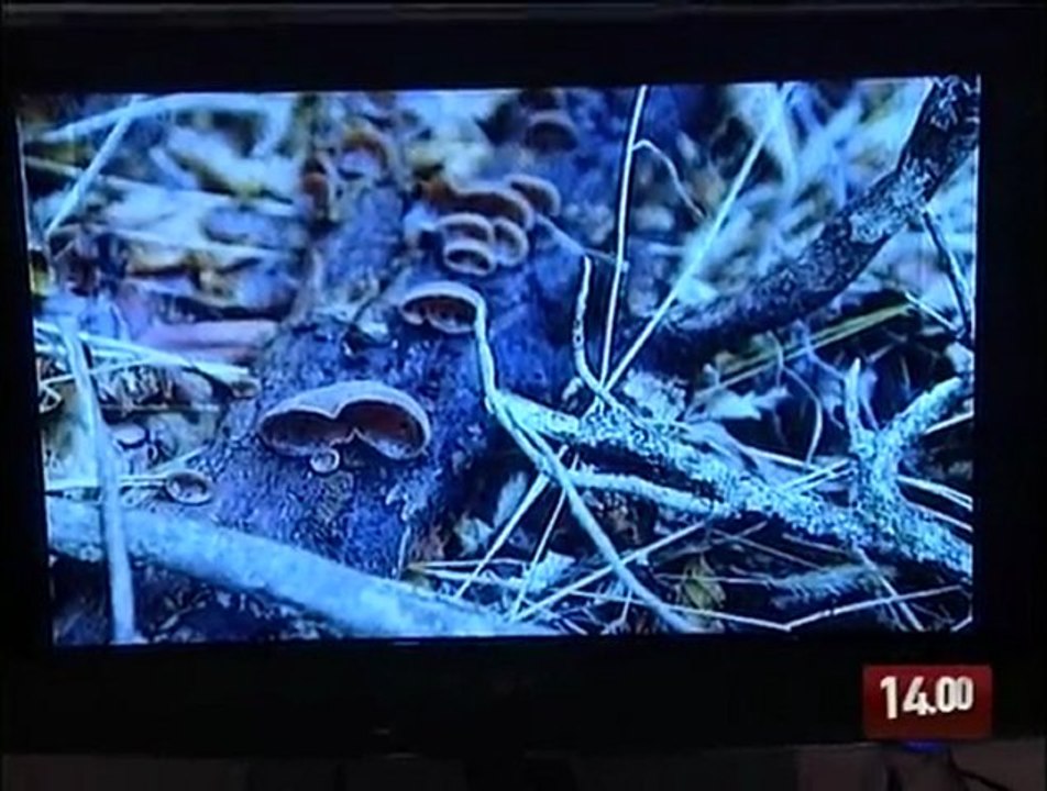 TG 10.02.10 Per non dimenticare le vittime delle foibe