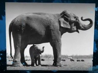 Great Height Growth Tips!