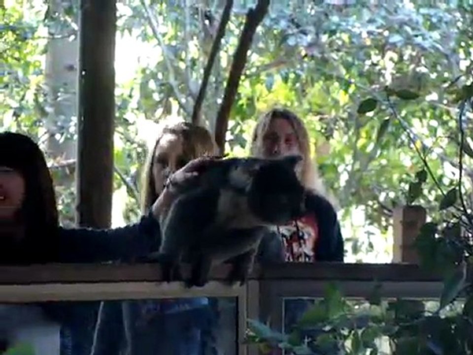 Koala Park Sanctuary