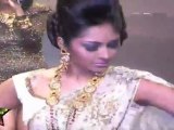 Hot Singer Shibani Kashyap With Hot & Sexy Busty Babes At IIJW 2011