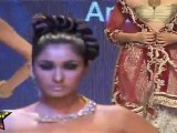 Hot Babes Shows Deep Navel & Huge Cleavage At IIJW 2011 Third Day