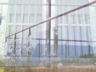 Glarmestre Sjælland Vordingborg HD-Glas