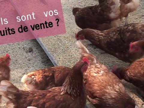 AGRIBIO06 - Nathalie Marchal - Avicultrice à Hyères (83)