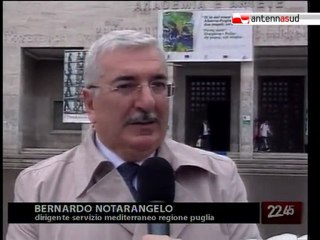 TG 22.05.10 Puglia e Albania più vicine in nome dell'energia