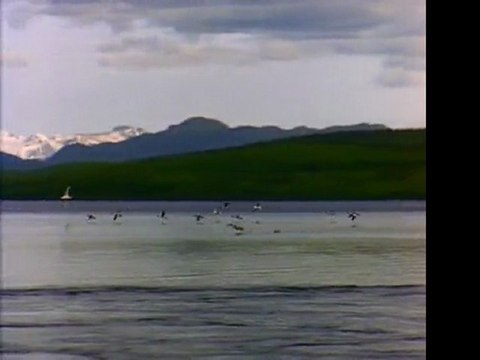 Airsoft Grenade Review: Find the best Airsoft Grenade for sale. Amazon.com - discount special offers and deals.