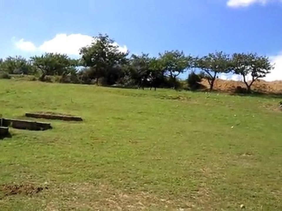 Rico & Audrey, Petit cross 1