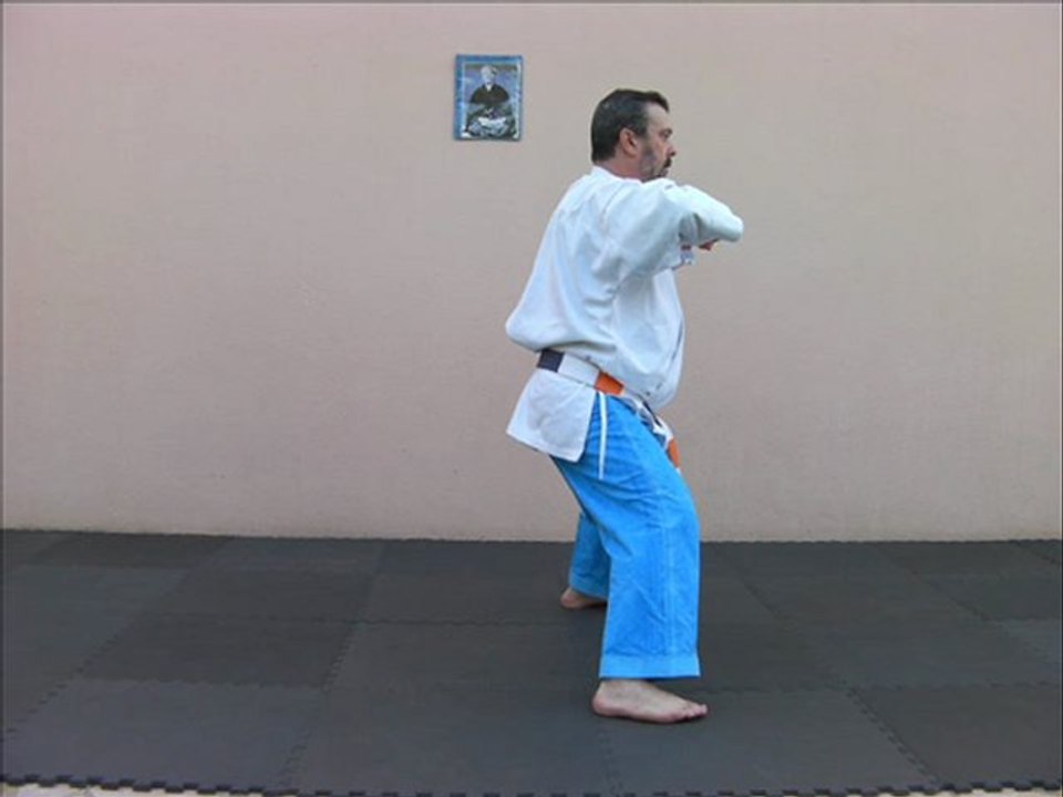diaporama de kata godan