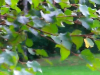 Vidéos Entrainements Au Boclet (09-09-2011)(4)