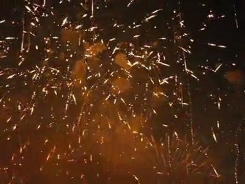 Feu d'artifice Geneve 2011 (avant-final)