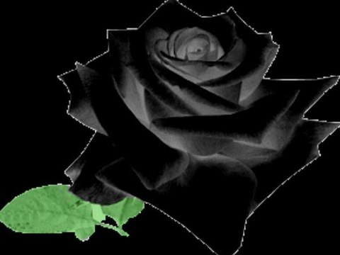 fannirvana-come as you are (ma voix uniquement) et peit solo de kurt cobain