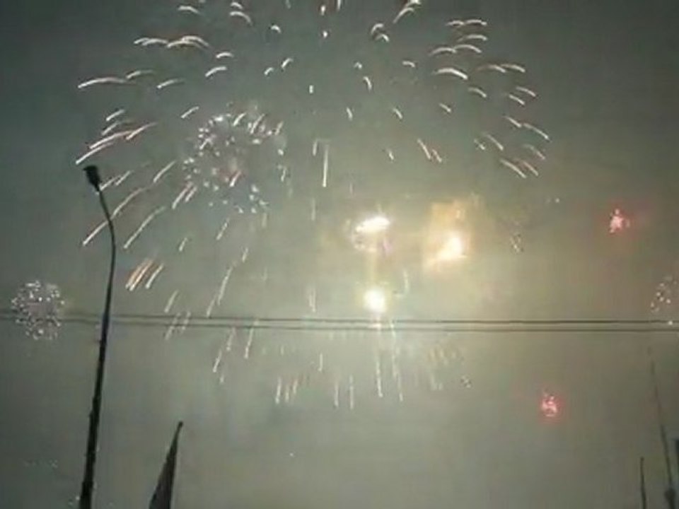 Feu d'artifice Geneve 2011 (8)