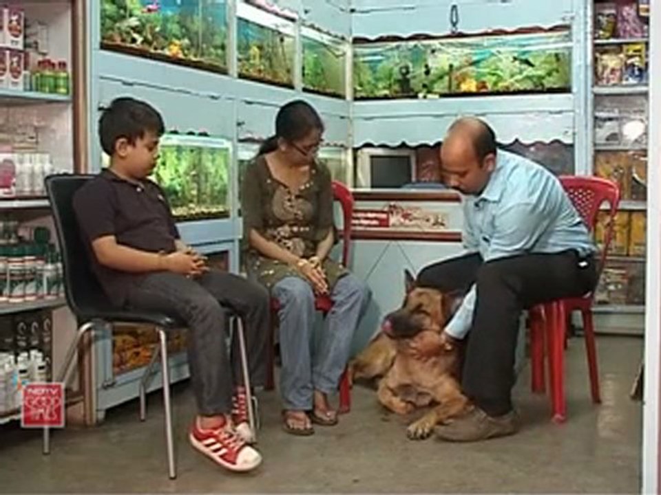 Dog Bite