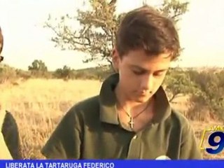 Andria | Liberata la tartaruga Federico