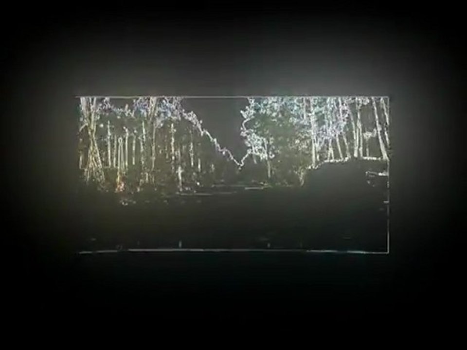 "La forêt est un état d'âme.  "