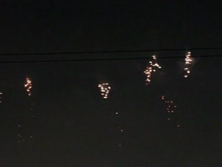 Feu d'artifice Geneve 2011 (5)