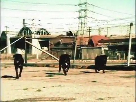 No Limit Records Presents Snoop Dogg Da Game Is to Be Sold Not to Be Told