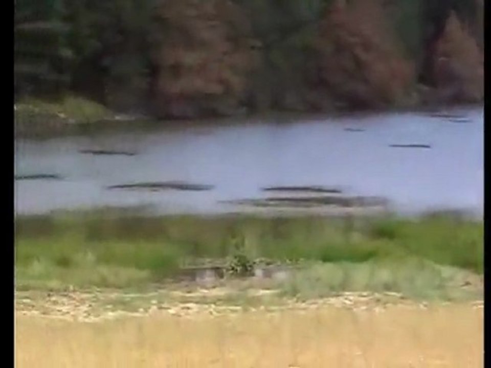 ERBAA,REŞADİYE,SARIYAYLAKÖYÜ,KETİ YAYLASI  (Murat  POLAT)