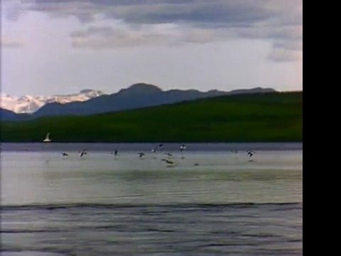 Airsoft Holster Review: Find the best Airsoft Holster for sale. Amazon.com - discount special offers and deals.