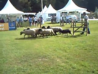 fete de la sange a sully sur loire