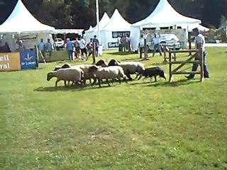 fete de la sange a sully sur loire
