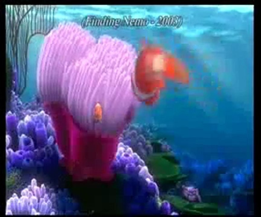 Deniz altındaki zehirli canlılar: Cnidaria (Knidliler)