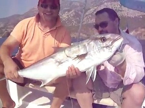 ADRASAN BALIK AVI TURUNDA AKYA AVI - adrasanbalik.com