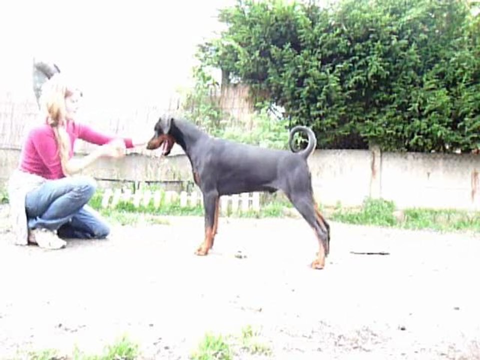 Fast and Furious "Poker" 10 Septembre 2011 - 9,5 mois