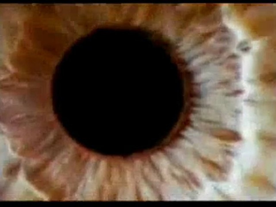 Görüntünün oluşumu ve görme