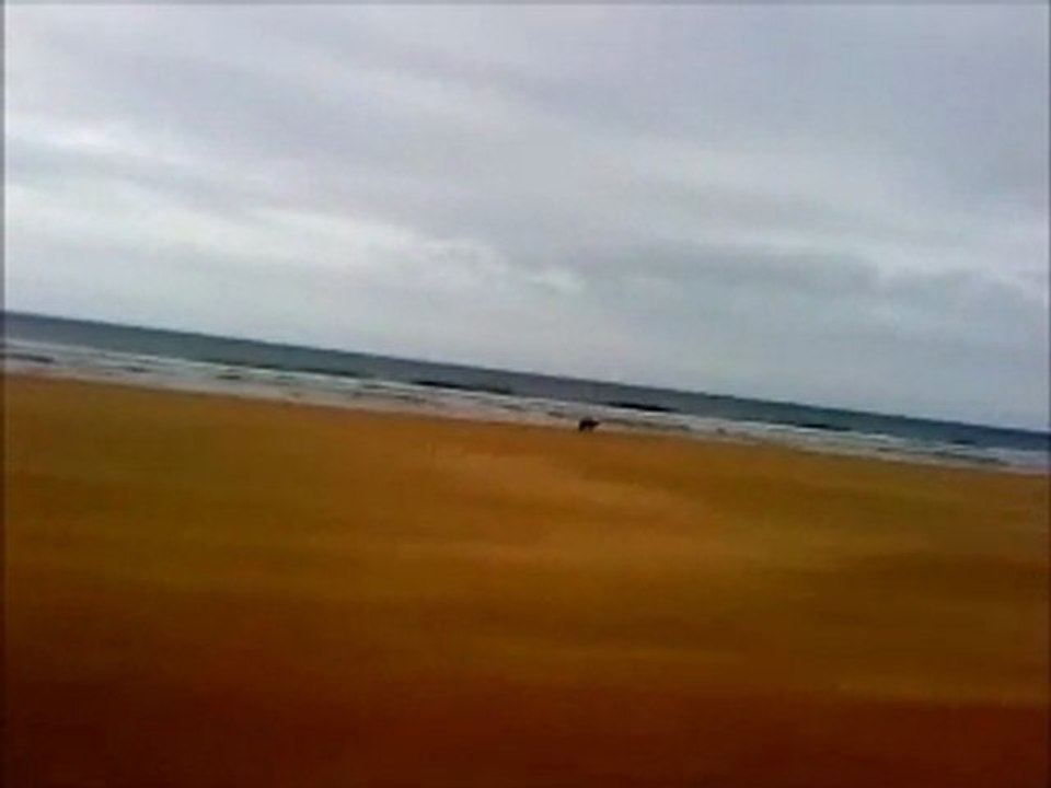 Neige aux dunes de Biville.