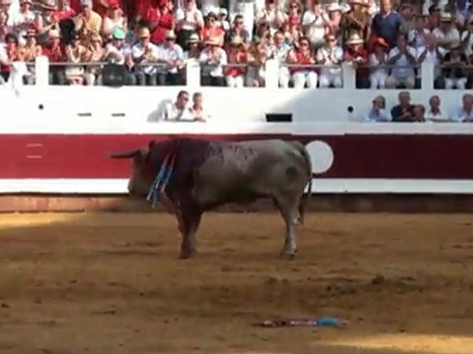 Toros y salsa 2011 - manzanares 2 oreilles et queue