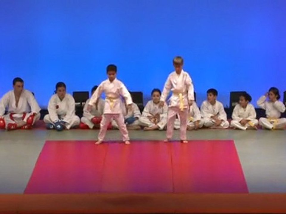 gala 28.mai 2011