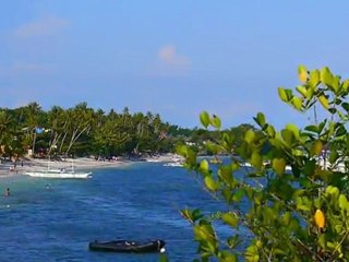 BIRDS & FLOWERS AROUND PANGLAO, PHILIPPINES
