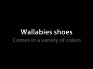 Wallabies Shoes, did you know!